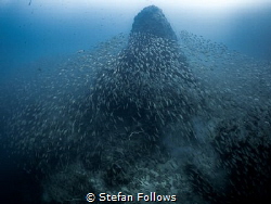 "There's no place like home"

Batfish Pinnacle 

Sail... by Stefan Follows 
